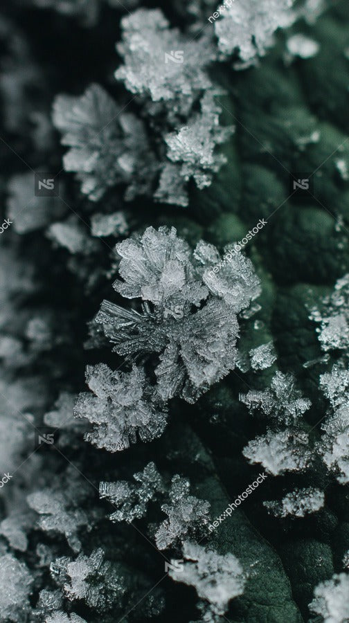 Snowflake Patterns In Ice — Stock Photo