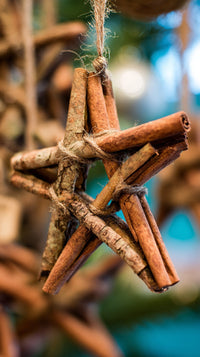 Cinnamon Star Ornament Made From Cinnamon Sticks Hung On A Christmas Tree As A Festive Decoration — Stock Photo