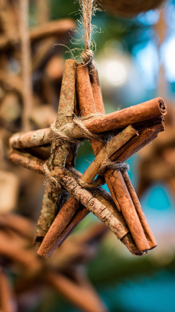 Cinnamon Star Ornament Made From Cinnamon Sticks Hung On A Christmas Tree As A Festive Decoration — Stock Photo
