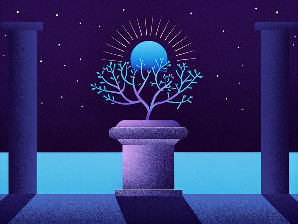 Illustration Of A Mystical Tree With Roots In A Vase Set Against A Night Sky Backdrop — Stock Illustration