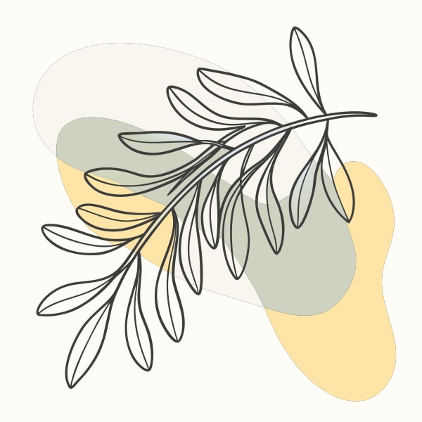 A Digital Illustration Of A Stylized Olive Branch With Leaves And Branches Rendered In A Graphic Style — Stock Vector
