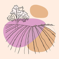 Illustration Of A Purple Field With A Single Plant And A Yellow Circle In The Background — Stock Vector