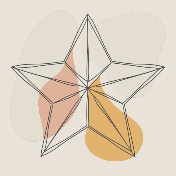 Displays A Geometric Star Design Which Is A Stylized Representation Of A Three Dimensional Star With A Flat Surface And Sharp Angles — Stock Vector