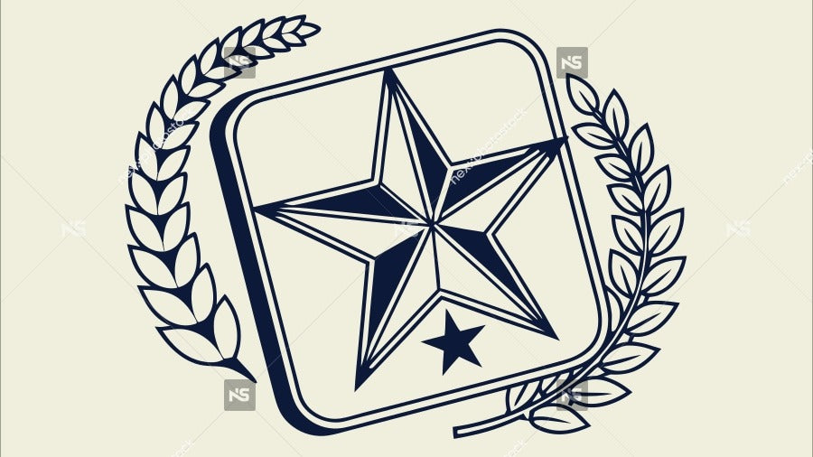 Logo Of A Star Shaped Emblem With Laurel Leaves And The Word Star Inscribed On It — Stock Vector