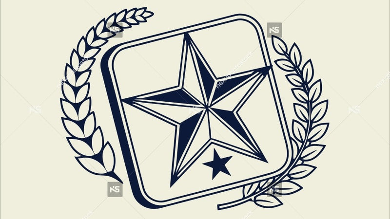Logo Of A Star Shaped Emblem With Laurel Leaves And The Word Star Inscribed On It — Stock Vector