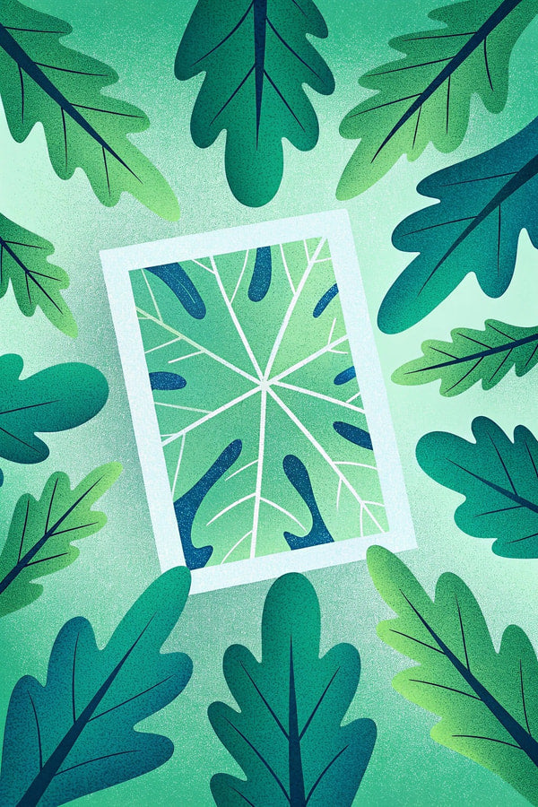A Framed Nature Scene A Leafy Branch And A Broken Glass Frame Set Against A Backdrop Of Green Leaves — Stock Illustration