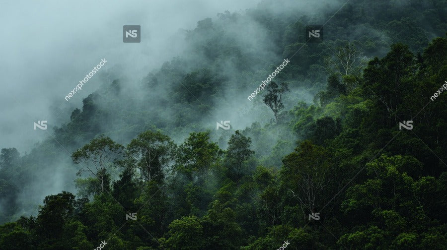 Misty Mountain Forest With Fog And Mist Lush Greenery Dense Vegetation Tropical Climate Natural Landscape Rainforest Cloudy Day Overcast Skies Hazy Atmosphere — Stock Photo