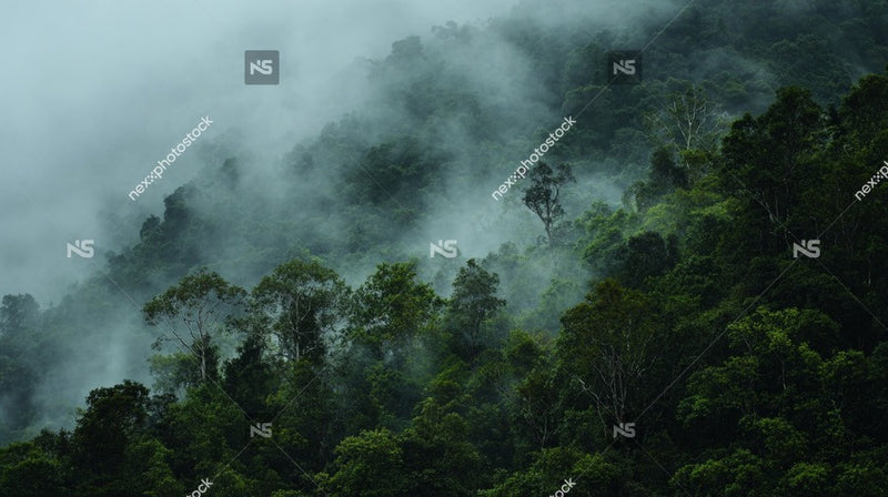 Misty Mountain Forest With Fog And Mist Lush Greenery Dense Vegetation Tropical Climate Natural Landscape Rainforest Cloudy Day Overcast Skies Hazy Atmosphere — Stock Photo