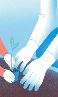 A Colorful Illustration Depicts A Scene Where Two Hands Are Planting A Small Green Sapling Into A Brown Pot Filled With Soil — Stock Illustration