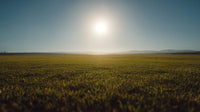 A Panoramic View Of A Sunset Over A Field With A Clear Sky And A Bright Sun — Stock Photo