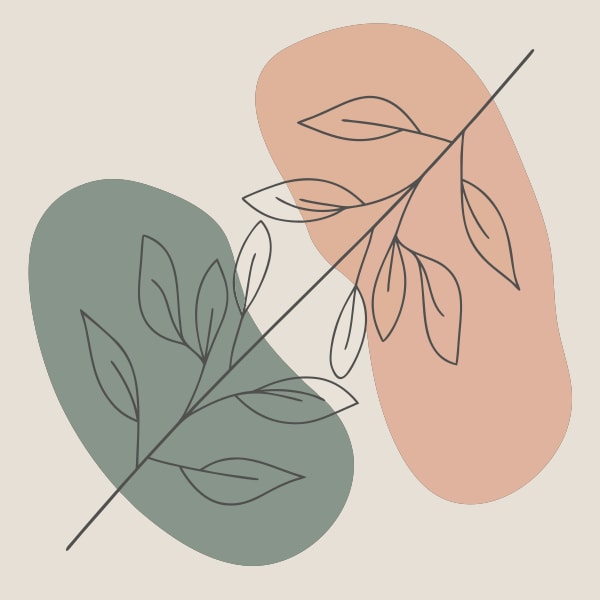 Floral Leaf Design With A Minimalist Color Palette A Combination Of Pink And Green Leaves Against A White Background — Stock Vector