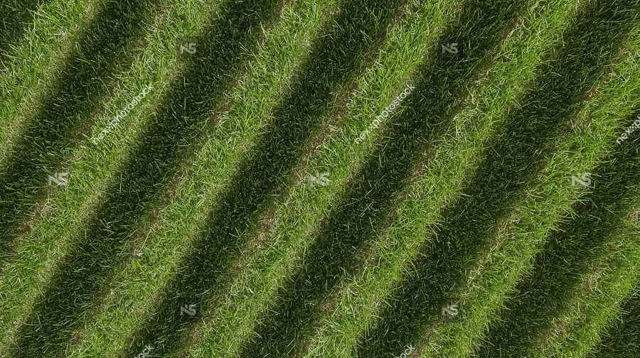 Aerial View Of A Field With Neatly Arranged Rows Of Grass — Stock Photo