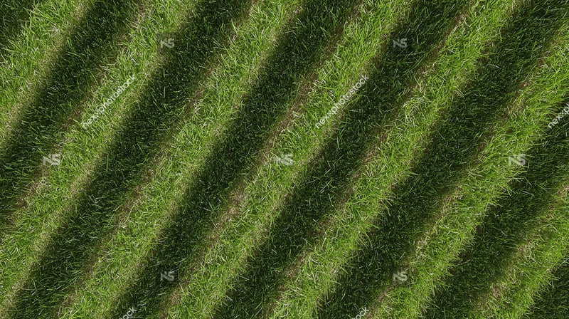 Aerial View Of A Field With Neatly Arranged Rows Of Grass — Stock Photo