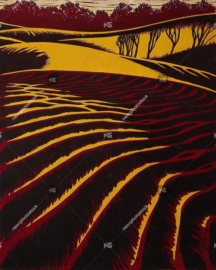 Vintage Poster Of A Rural Landscape A Field Of Plowed Earth Under A Red Sky — Stock Illustration