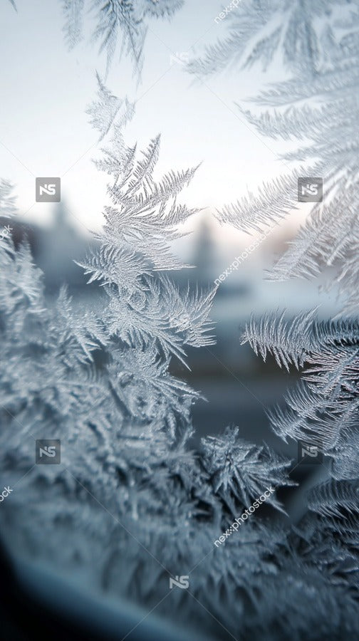 Ice Crystals On Window Glass — Stock Photo