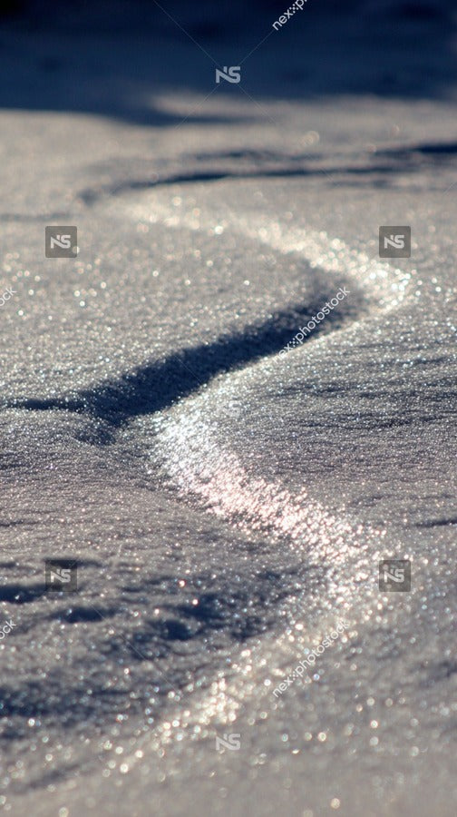 Snowy Path In Wilderness — Stock Photo