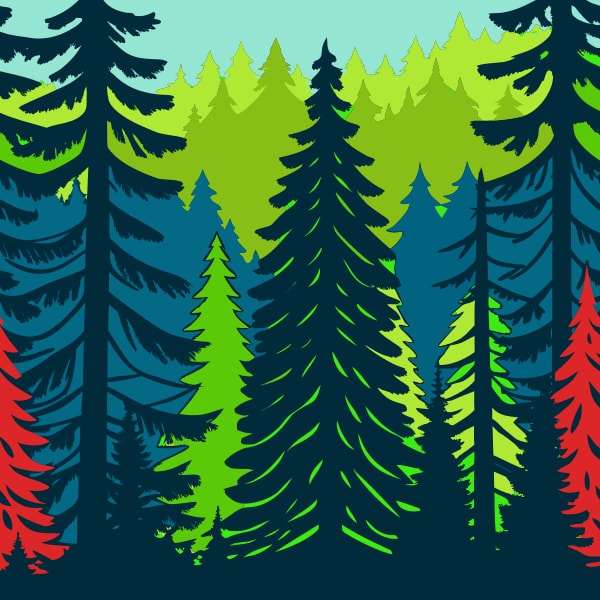Colorful Forest Scenery With A Variety Of Trees And Foliage Set Against A Gradient Sky Background — Stock Vector