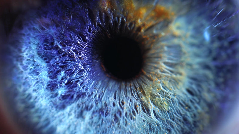 human eye close up with blue iris and yellow pupil showcasing intricate details of the iris and pupil - Stock Video