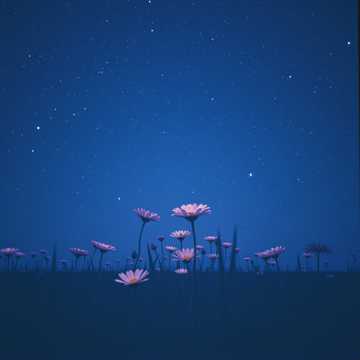 Stellar Bloom