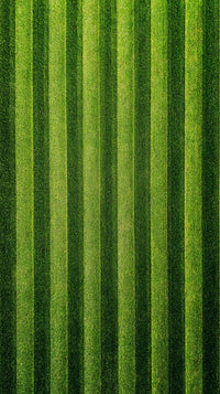 Vertical Stripes Of Green Grass — Stock Photo