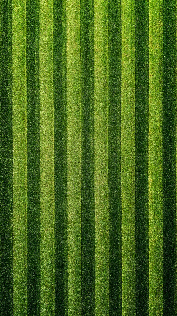 Vertical Stripes Of Green Grass — Stock Photo