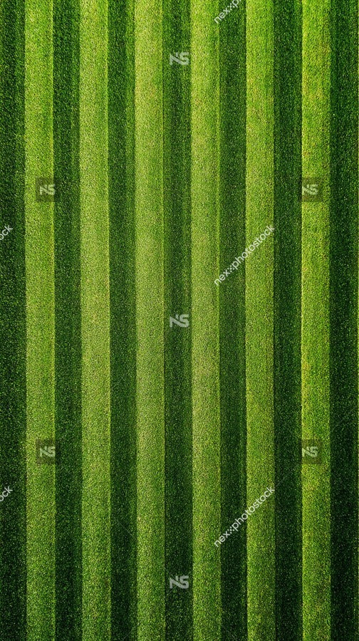 Vertical Stripes Of Green Grass — Stock Photo