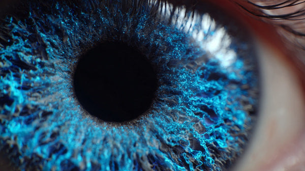 Blue Iris Close Up — Stock Photo