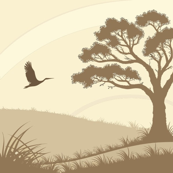 A Silhouette Of A Tree And Bird In Flight Against A Sunset Sky Set On A Grassy Field — Stock Vector