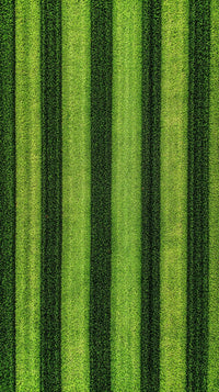 A Close Up Image Of A Striped Pattern Of Green Grass — Stock Photo