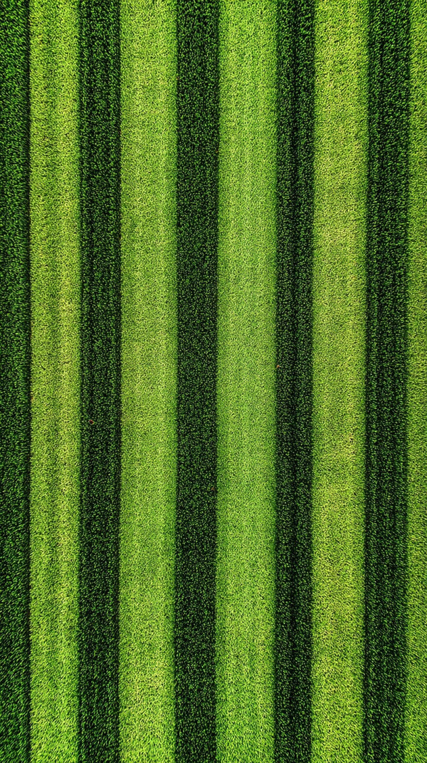 A Close Up Image Of A Striped Pattern Of Green Grass — Stock Photo