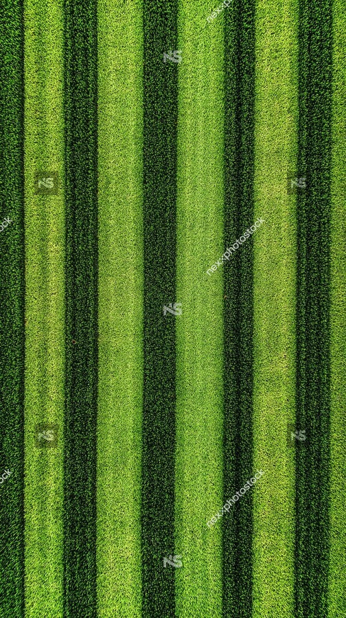 A Close Up Image Of A Striped Pattern Of Green Grass — Stock Photo