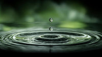 a close up image captures a single droplet of water falling onto a leaf creating a ripple effect in the surrounding water - Stock Video