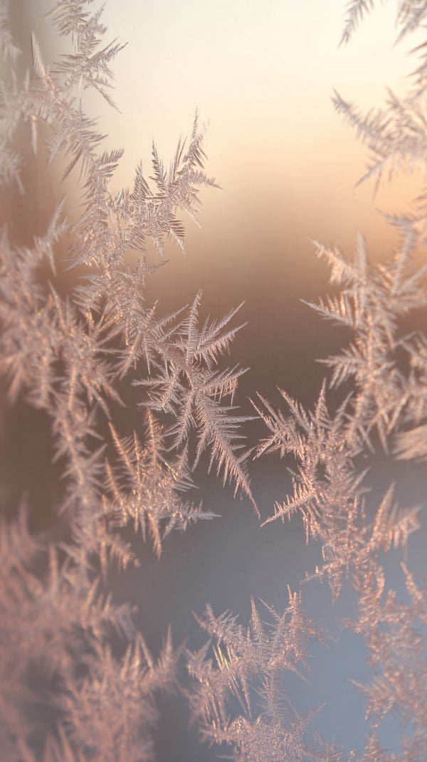 Close Up Of Frosted Window Pane With Intricate Ice Crystal Patterns Set Against A Soft Warm Light Background — Stock Photo