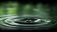 drops of water on a leaf - Stock Video