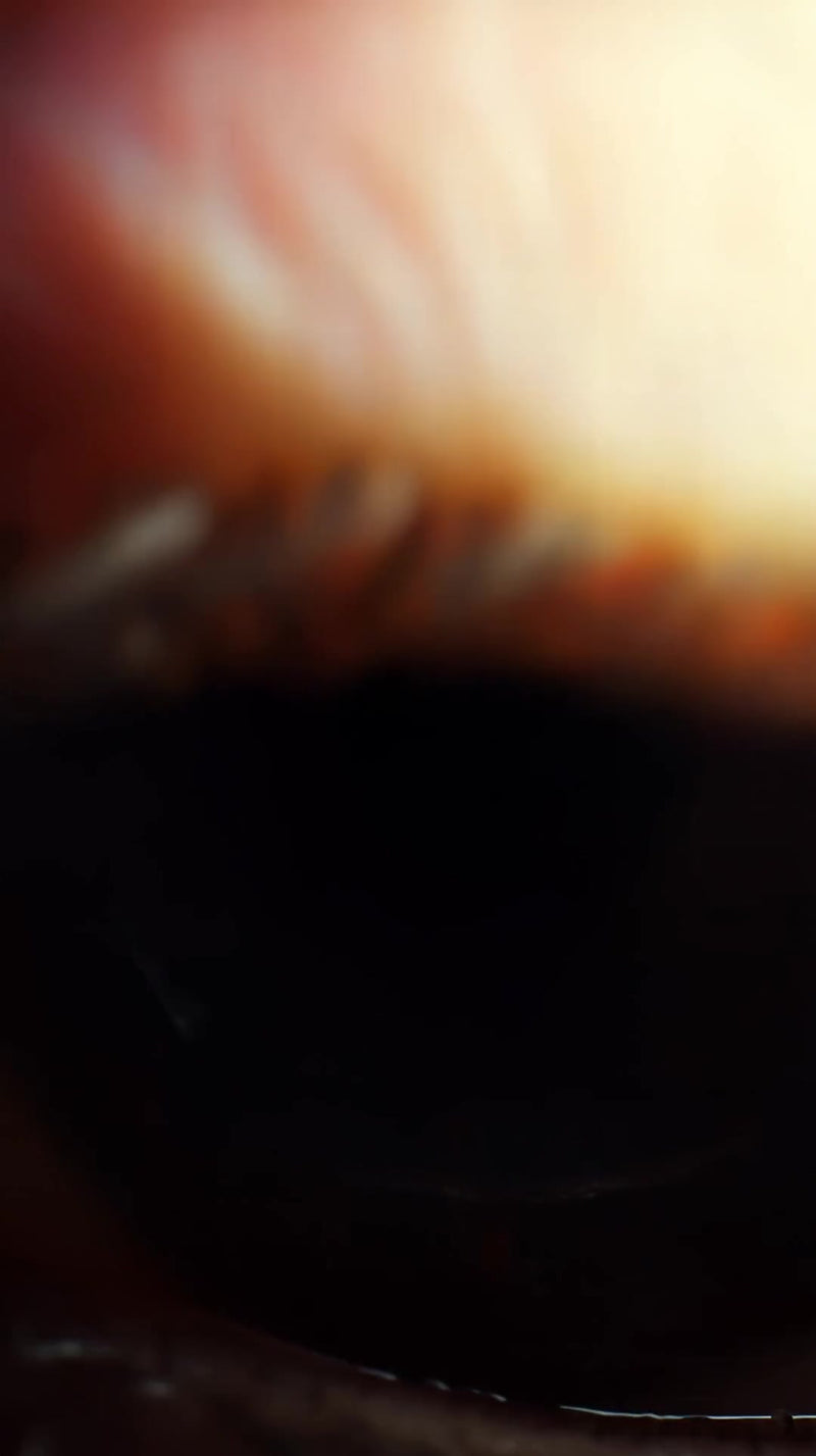 a close up of a human eye with golden specks showcasing the intricate details and colors within the iris - Stock Video