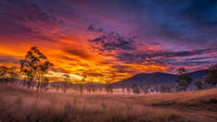 A Sunset View With A Backdrop Of Tall Grass Showcasing Vibrant Colors In The Sky — Stock Photo