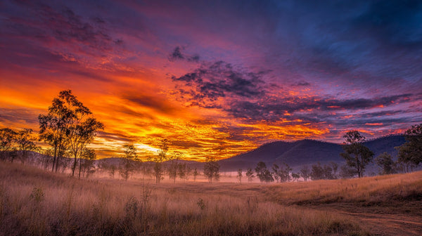 A Sunset View With A Backdrop Of Tall Grass Showcasing Vibrant Colors In The Sky — Stock Photo