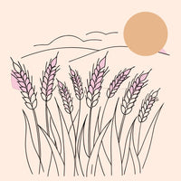 A Stylized Illustration Depicts A Tranquil Rural Scene With A Pink Sun Setting Behind A Field Of Tall Wheat Casting A Warm — Stock Vector