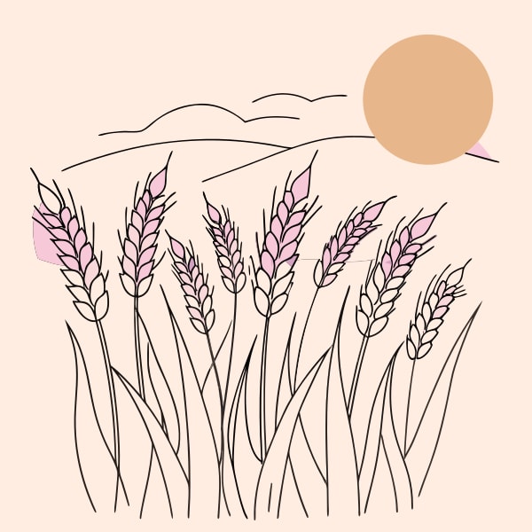 A Stylized Illustration Depicts A Tranquil Rural Scene With A Pink Sun Setting Behind A Field Of Tall Wheat Casting A Warm — Stock Vector