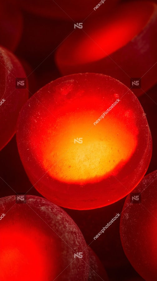 Red Blood Cells Under A Microscope — Stock Photo