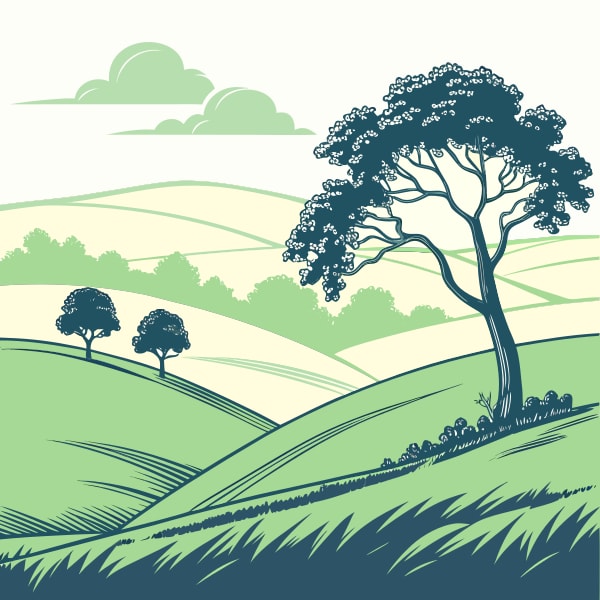 A Tranquil Countryside Landscape With A Solitary Tree And Rolling Hills Under A Clear Sky — Stock Vector