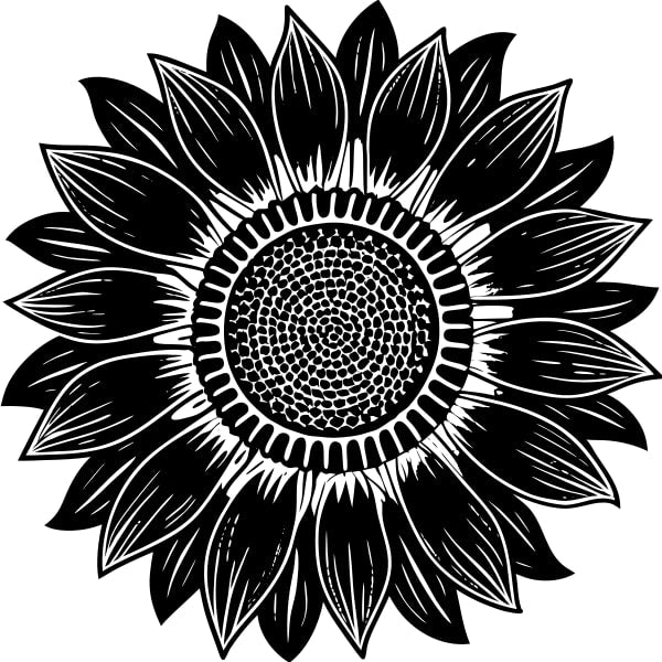 Black And White Sunflower — Stock Vector