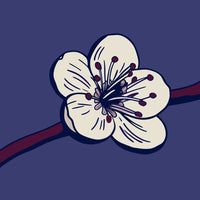 A Branch Of A Cherry Blossom Tree Adorned With White Flowers Against A Blue Background — Stock Vector