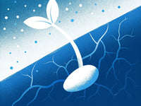 A Digital Illustration A White Flower Sprouting From A Cracked Blue Ground With A Night Sky Background And Snowflakes Falling Around It — Stock Illustration