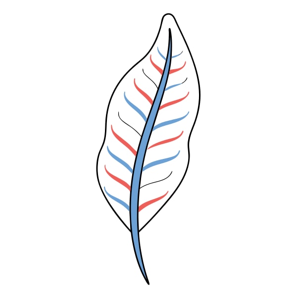 A Single Stylized Leaf With A Blue Stem And Red Veins Against A White Background — Stock Vector