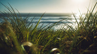 Ocean Sunset With A Clear View Of The Horizon And The Skyline In The Background — Stock Photo