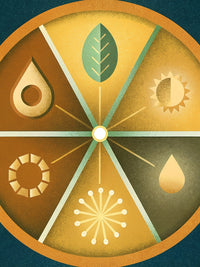 A Colorful Stylized Illustration Of A Seasonal Harvest Wheel With Various Symbols Representing Different Seasons And Elements Of Nature — Stock Illustration
