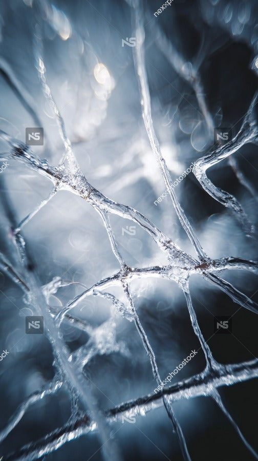 Displays A Close Up View Of An Icy Surface With Intricate Patterns Of Frost Which Are Clearly Visible Against A Dark Background — Stock Photo
