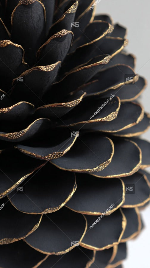 A Close Up Of A Black Pine Cone With Gold Foil Detailing Set Against A White Background — Stock Photo