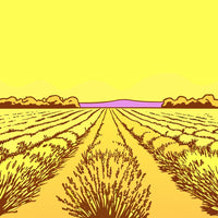 Aerial View Of A Rural Landscape Fields Of Crops With A Yellow Sky In The Background — Stock Vector